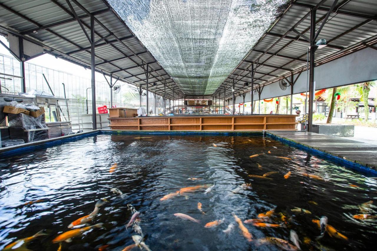 Tempat peranginan Oyo 105 Gallop Kranji Farm 3*